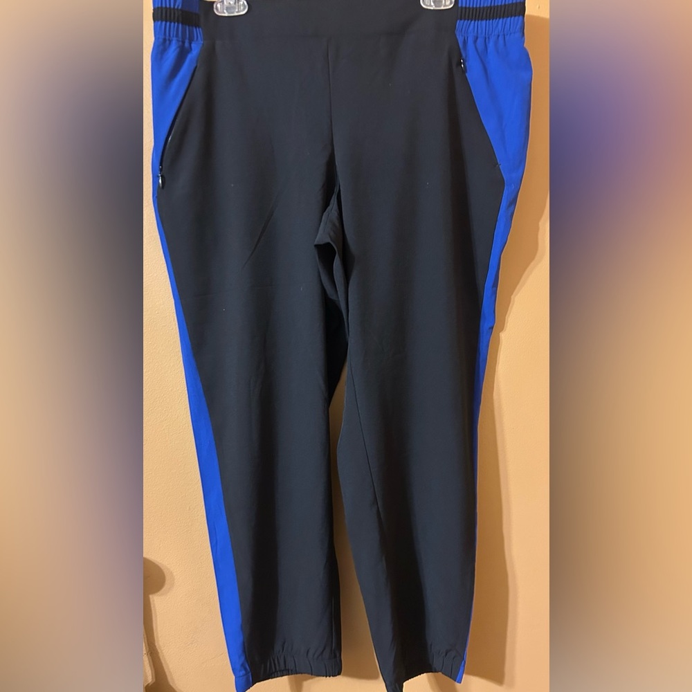 Fabletics exercise pants